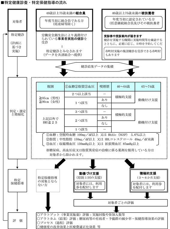 特定健診・特定保健指導の流れ