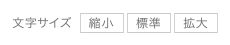 文字サイズの変更